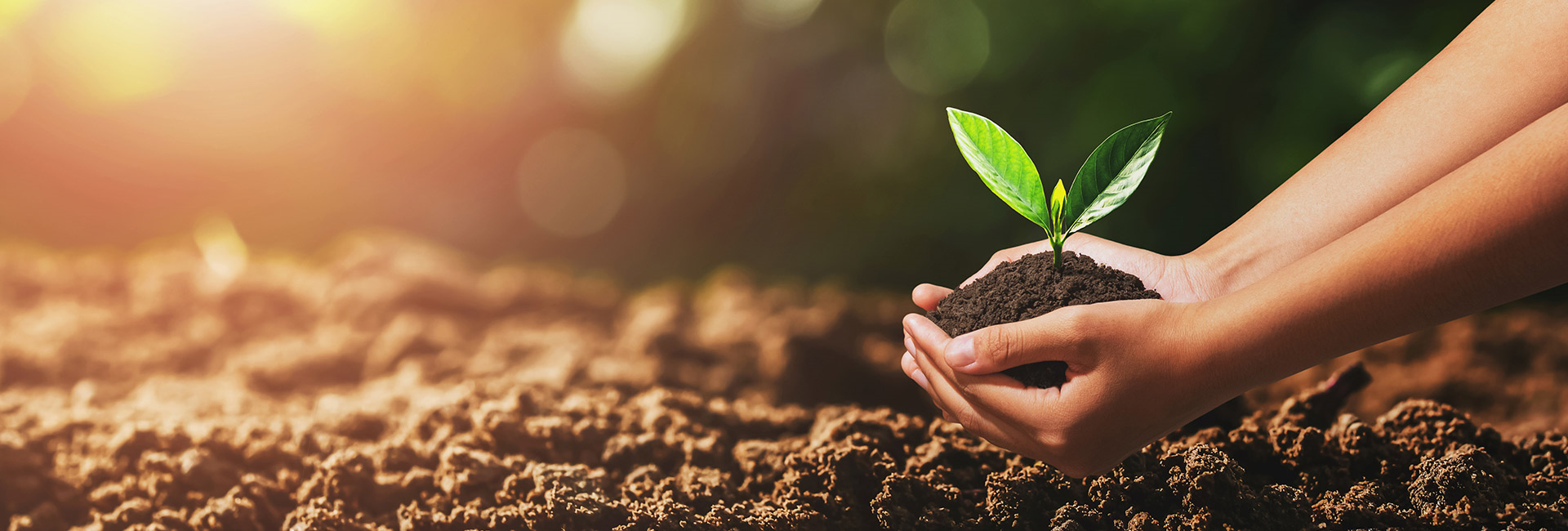 Toprağa emek, tarıma can