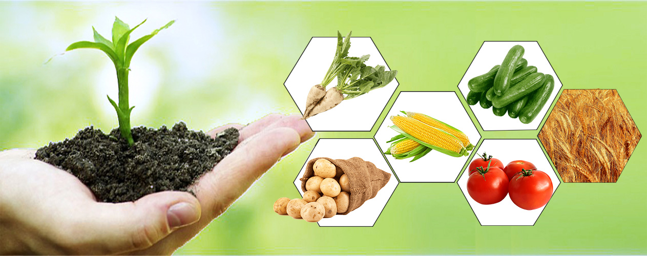 Yenilikçi Çözümler